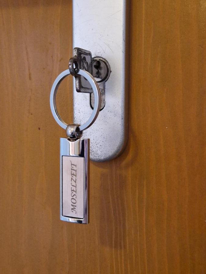 Ferienwohnung Moselzeit Alken Exteriör bild